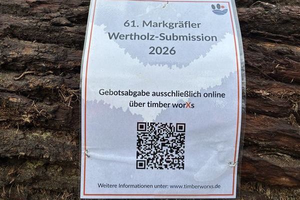 NEU Abwicklung mit unserem Partner timber worXs